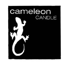 cameleon CANDLE