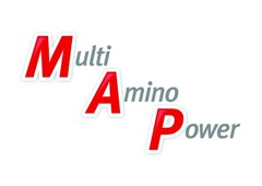 Multi Amino Power