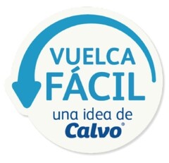 VUELCA FACIL UNA IDEA DE CALVO