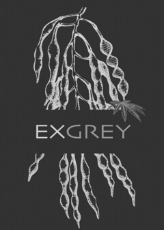 exgrey