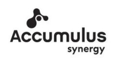 Accumulus synergy