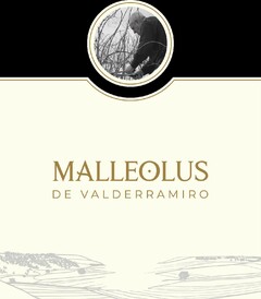 MALLEOLUS DE VALDERRAMIRO