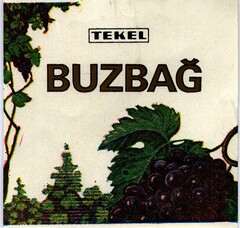 TEKEL BUZBAG