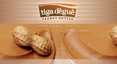 TIGA DEGUE