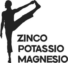 ZINCO POTASSIO MAGNESIO