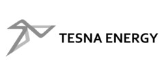 TESNA ENERGY