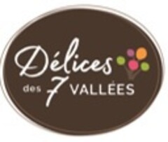 DELICES DES 7 VALLEES