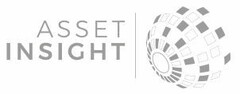 ASSET INSIGHT