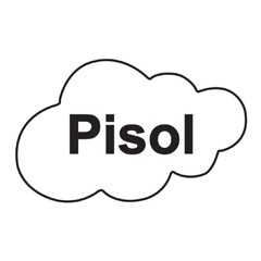 Pisol