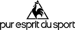 pur esprit du sport