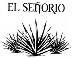 EL SEÑORIO