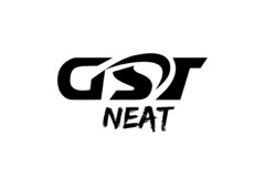 GST NEAT