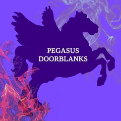 PEGASUS DOORBLANKS