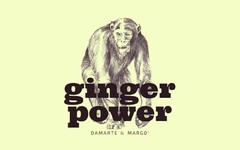 ginger power damarte & margo'