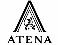 ATENA