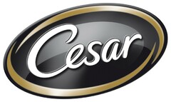 Cesar