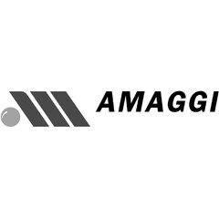 AMAGGI