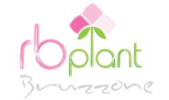 RB PLANT BRUZZONE