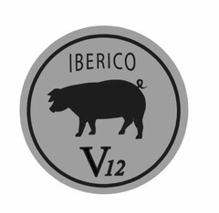 IBERICO V12