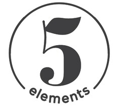 5 elements