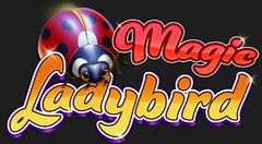 Magic Ladybird