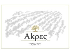 Άκρες ΣΚΟΥΡΑΣ