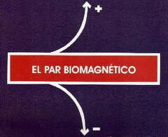 EL PAR BIOMAGNÉTICO