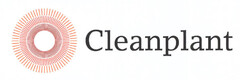 Cleanplant