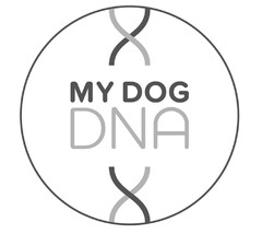 MY DOG DNA