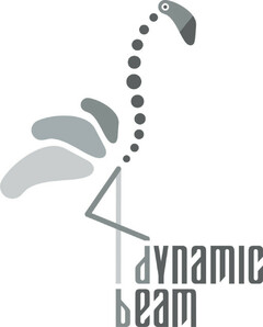 Dynamic Beam