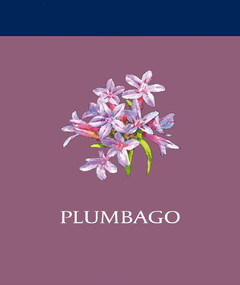 PLUMBAGO