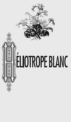 HÉLIOTROPE BLANC