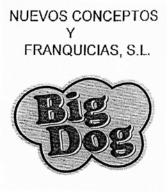 BIG DOG