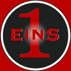 EINS1