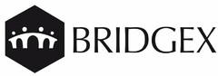 BRIDGEX