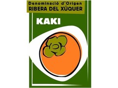 Denominació d'Origen RIBERA DEL XÚQUER KAKI