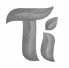 Ti