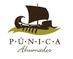 PUNICA AHUMADOS