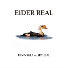 EIDER REAL PENÍNSULA DE SETÚBAL