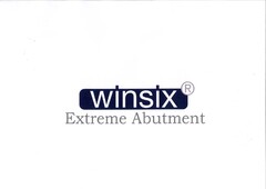 Winsix Extreme Abutment