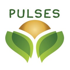 PULSES