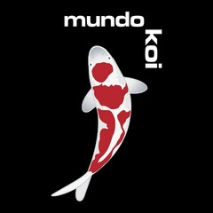 mundo koi