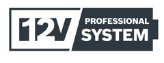 12V PROFESSIONAL SYSTEM