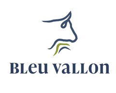 bleu vallon