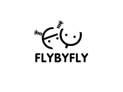 FLYBYFLY