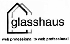 glasshaus web professional to web professional