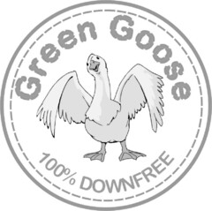 Green Goose 100% downfree