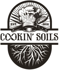 COOKIN´SOILS