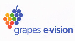 grapes e-vision