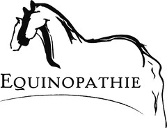 EQUINOPATHIE